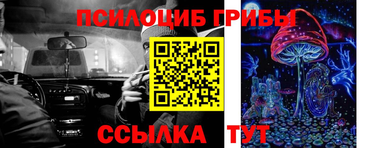 Псилоцибиновые грибы Cubensis Тихорецк