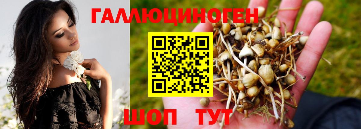 Тихорецк  Галлюциногенные грибы MAGIC MUSHROOMS  Вход с VPN 